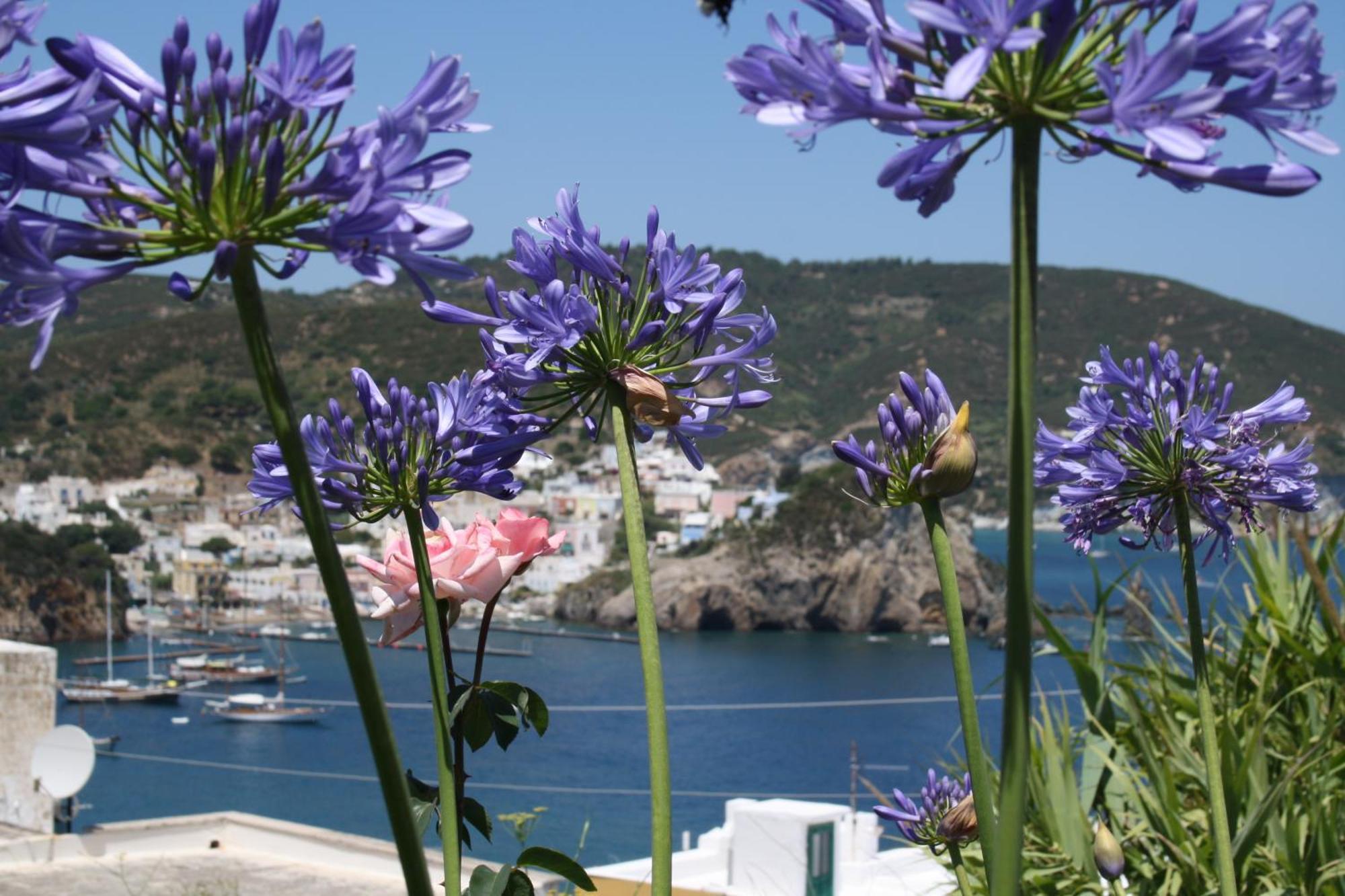 Villa Ersilia Ponza Exterior foto