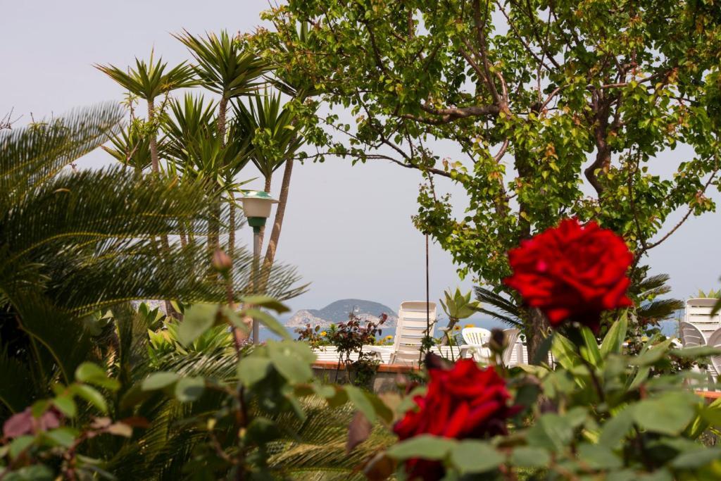 Villa Ersilia Ponza Exterior foto