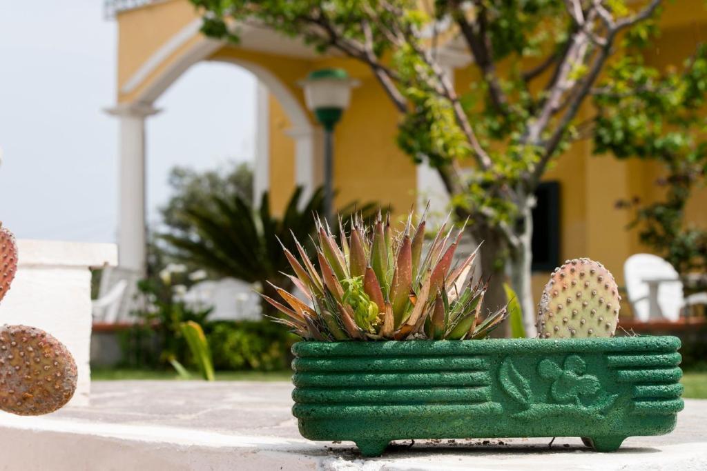 Villa Ersilia Ponza Exterior foto