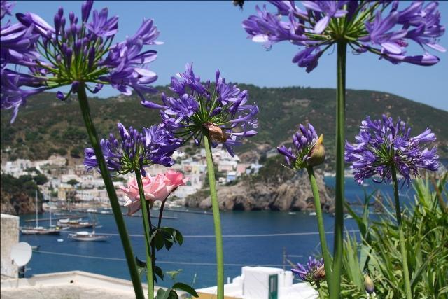 Villa Ersilia Ponza Exterior foto